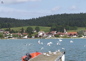 Les Montagnes du Jura