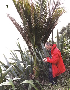 Deux chercheurs du Jardin Botanique de Meise récompensés